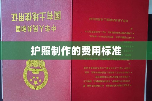 绥滨护照制作的费用标准