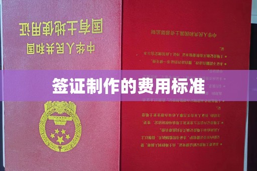 绥滨签证制作的费用标准