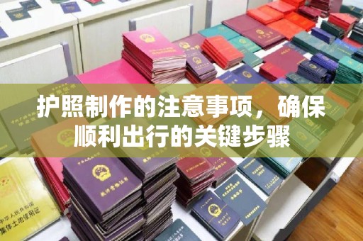 绥滨护照制作的注意事项，确保顺利出行的关键步骤