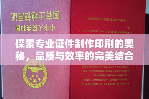 绥滨探索专业证件制作印刷的奥秘，品质与效率的完美结合