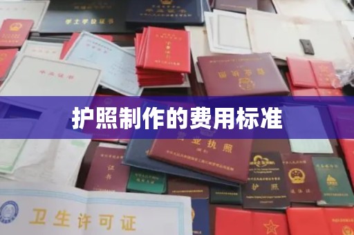 绥滨护照制作的费用标准