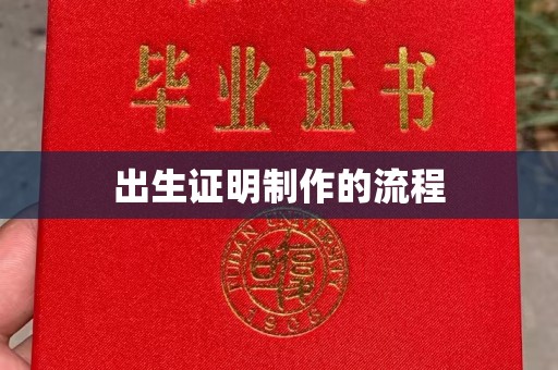 绥滨出生证明制作的流程